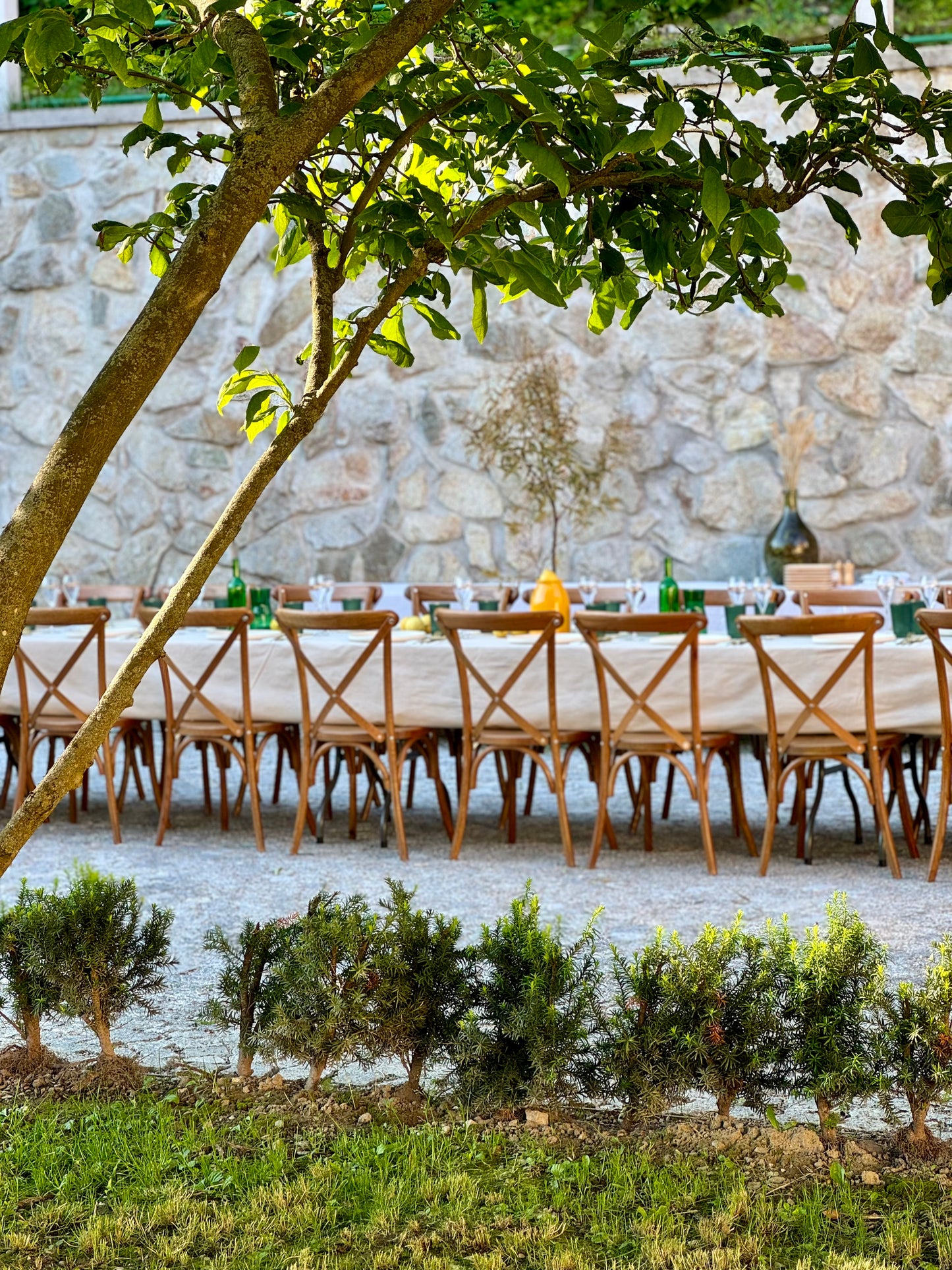GARDEN YOGA & BRUNCH 22.6.2025