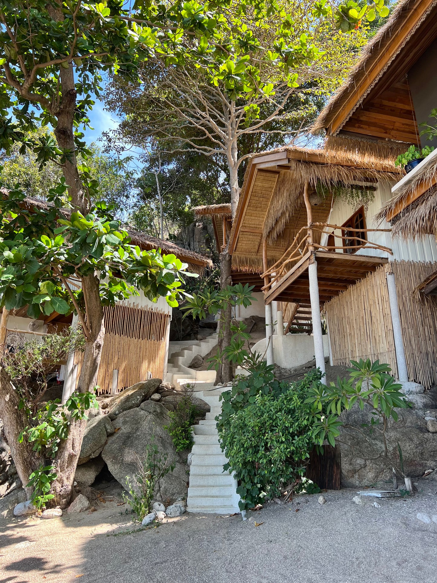 SADHANA RETREAT volume Il 12.2.-23.2.2026