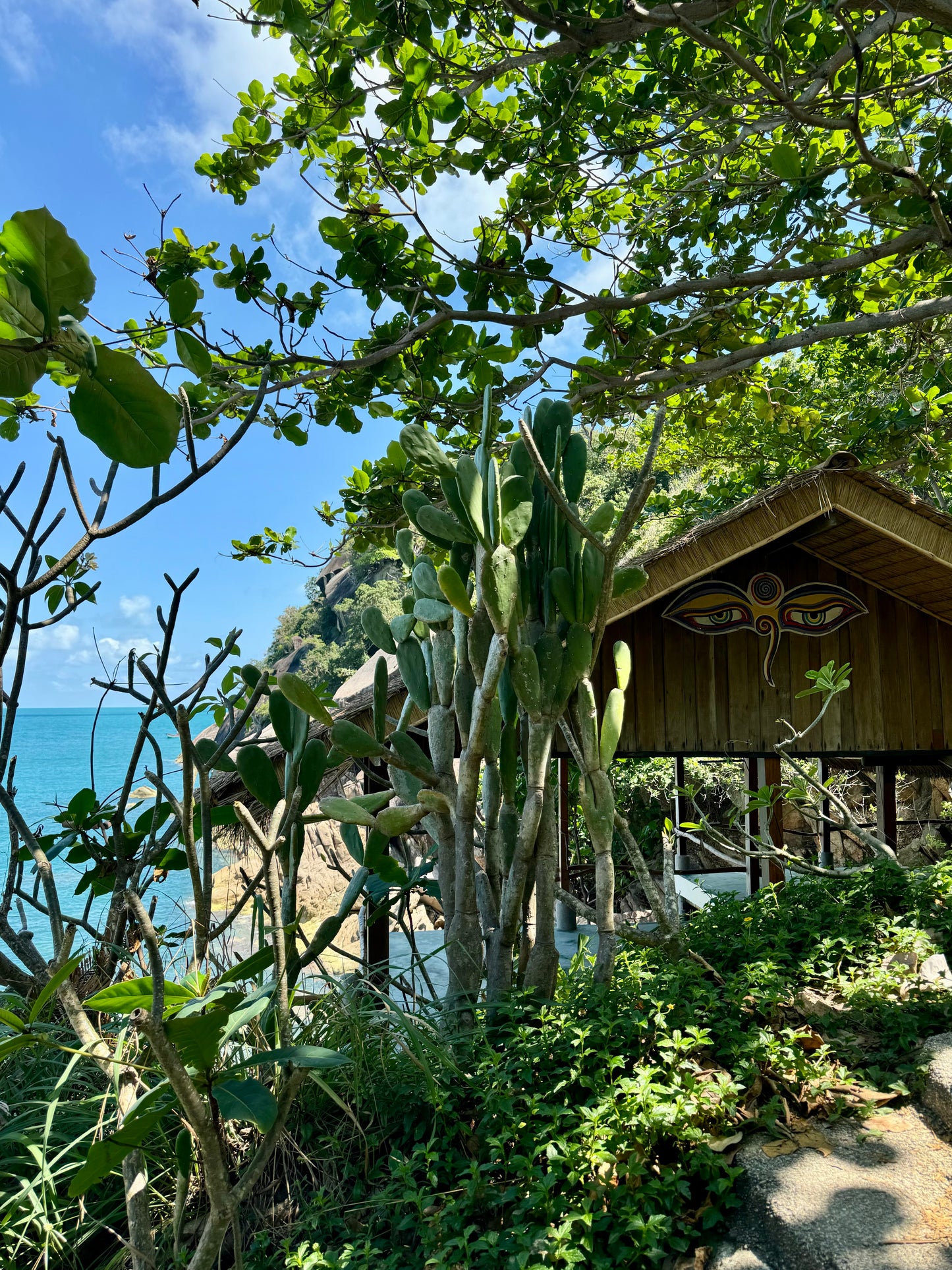 SADHANA RETREAT volume Il 12.2.-23.2.2026