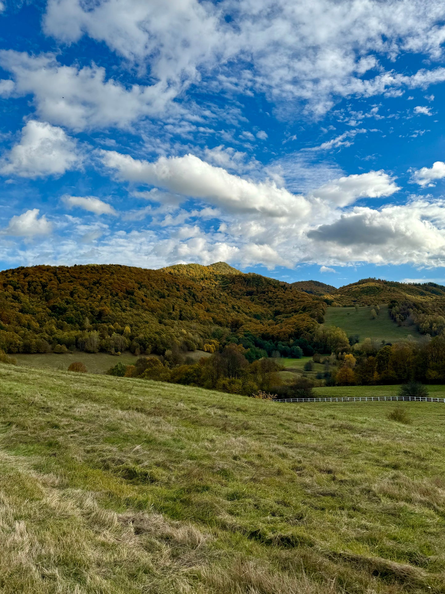 ASHTANGA YOGA NILAYA 9.-12.10.2025