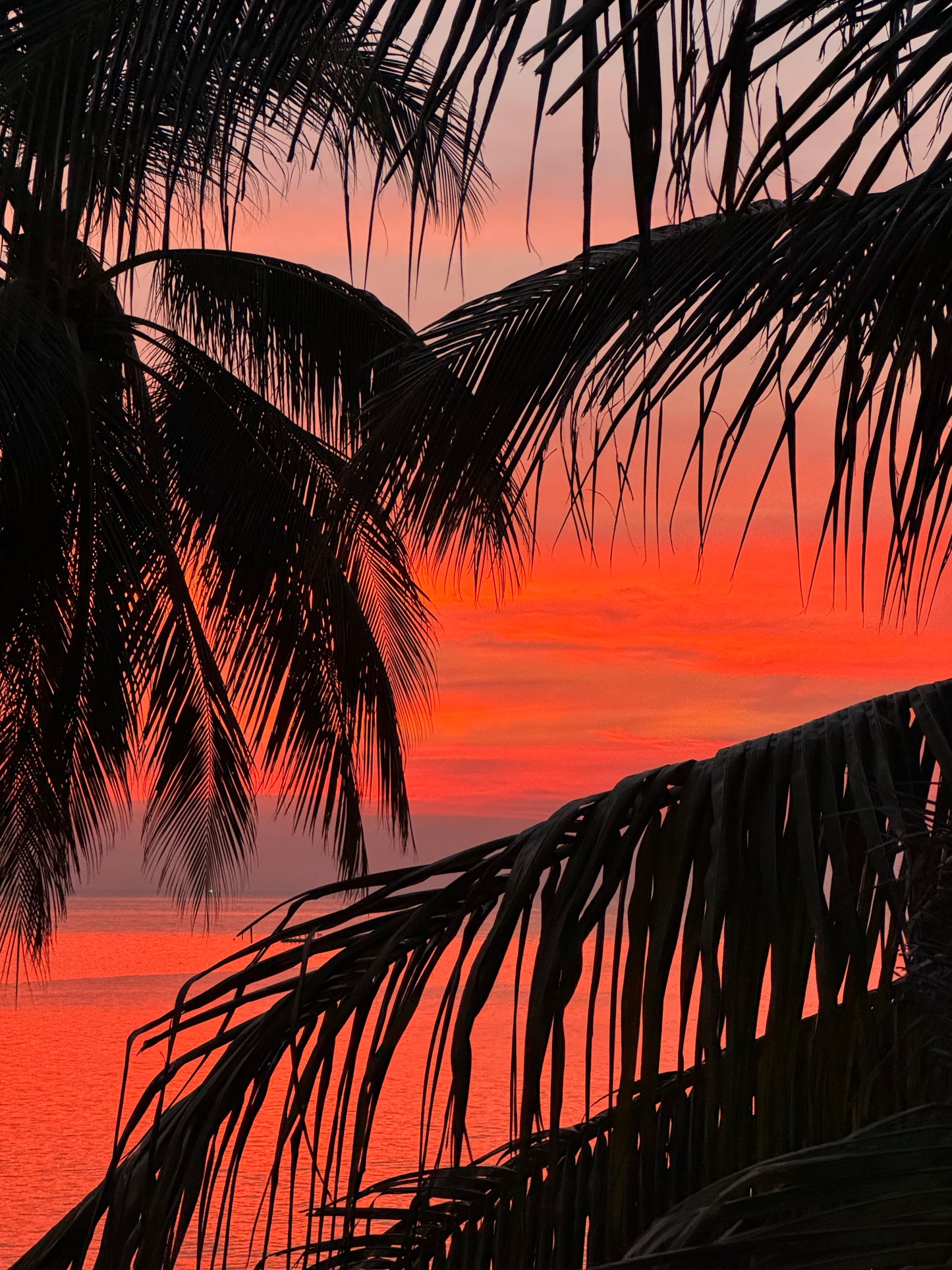 SADHANA RETREAT volume I 26.1.-6.2.2026