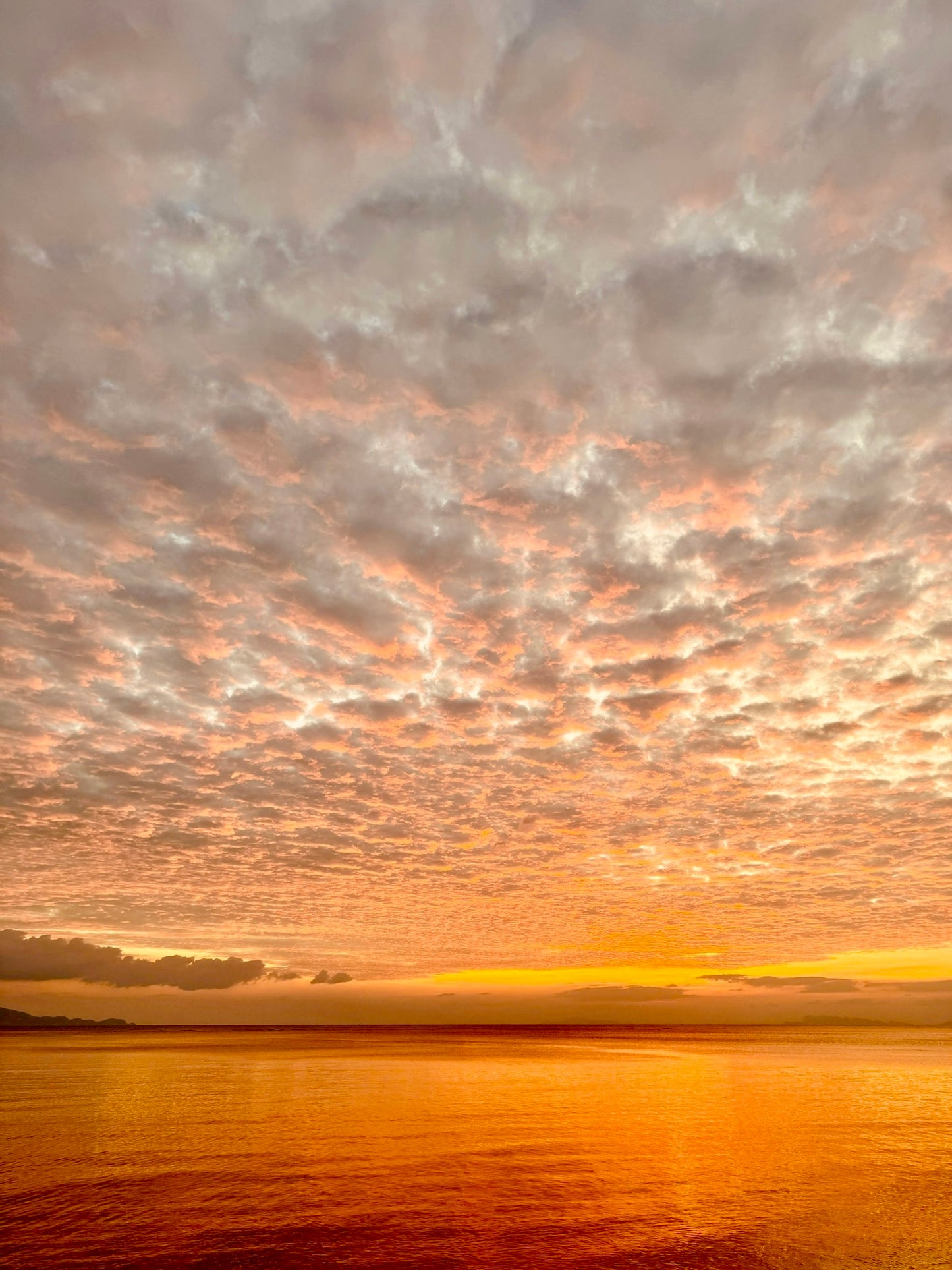 SADHANA RETREAT volume Il 12.2.-23.2.2026