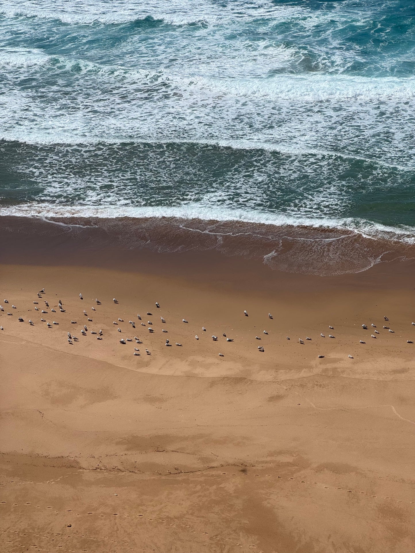 SANTOSHA RETREAT 27.9.-4.10.2026