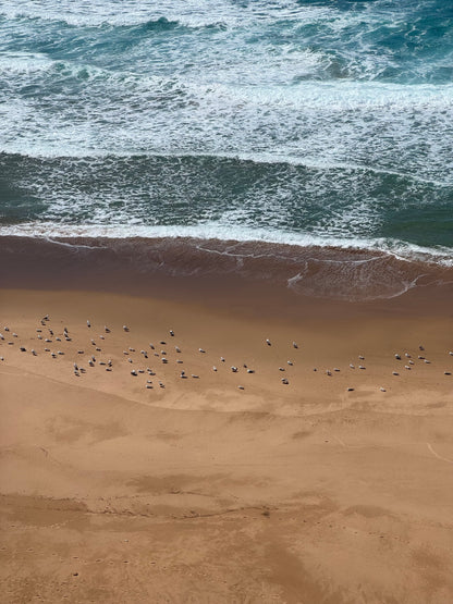 SANTOSHA RETREAT 27.9.-4.10.2026