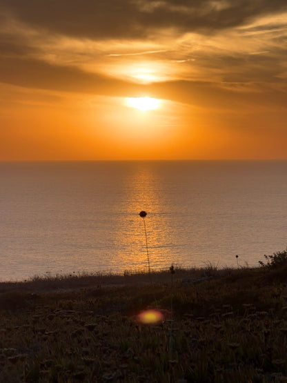 SANTOSHA RETREAT 27.9.-4.10.2026