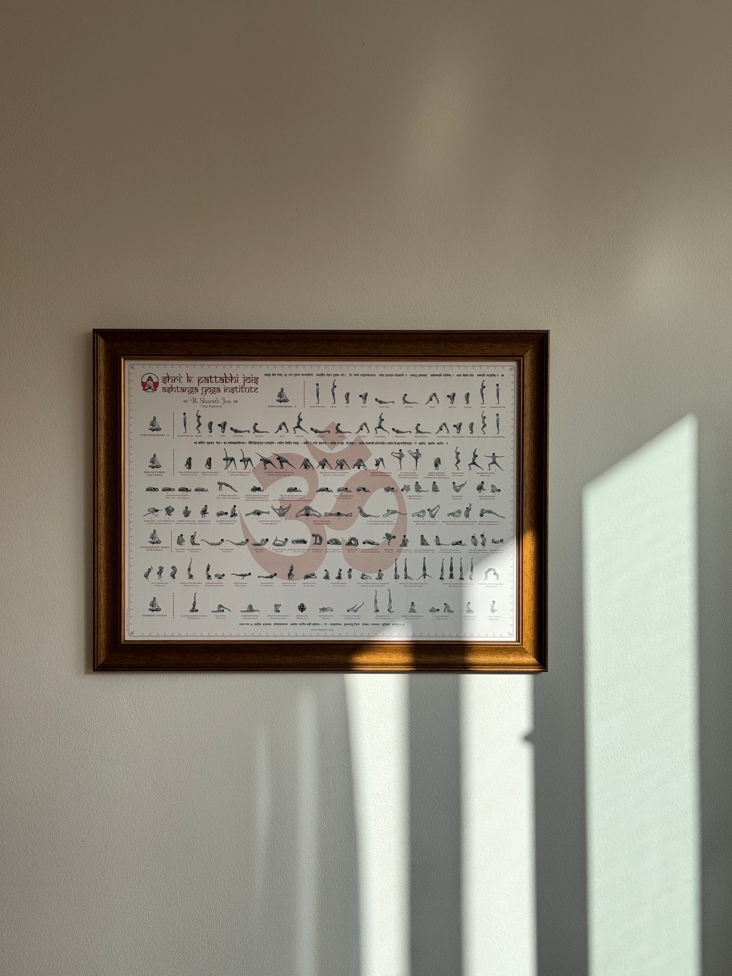 SADHANA COLLECTIVE 2026