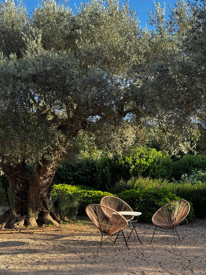 SAMATVA RETREAT
12.-19.9.2026