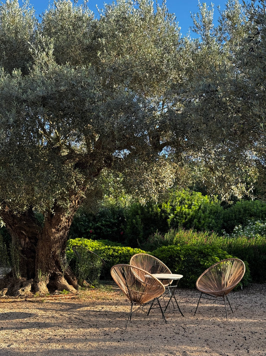 SAMATVA RETREAT
12.-19.9.2026