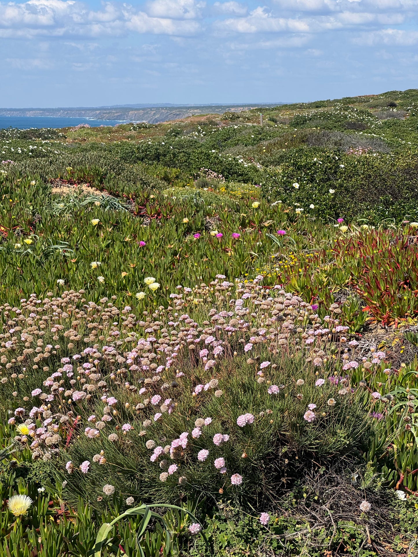 SANTOSHA RETREAT 27.9.-4.10.2026