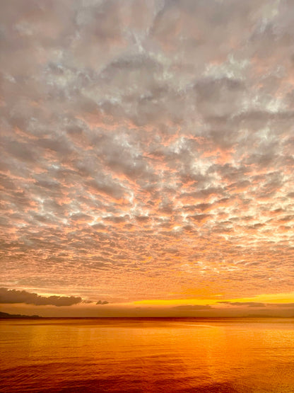 SADHANA RETREAT volume Il 12.2.-23.2.2026