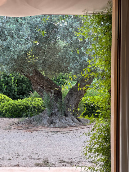 SAMATVA RETREAT
12.-19.9.2026