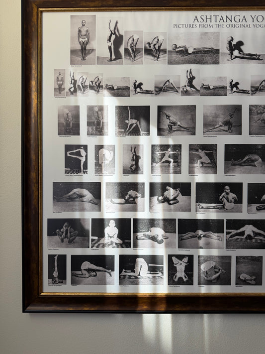 SADHANA COLLECTIVE 2026